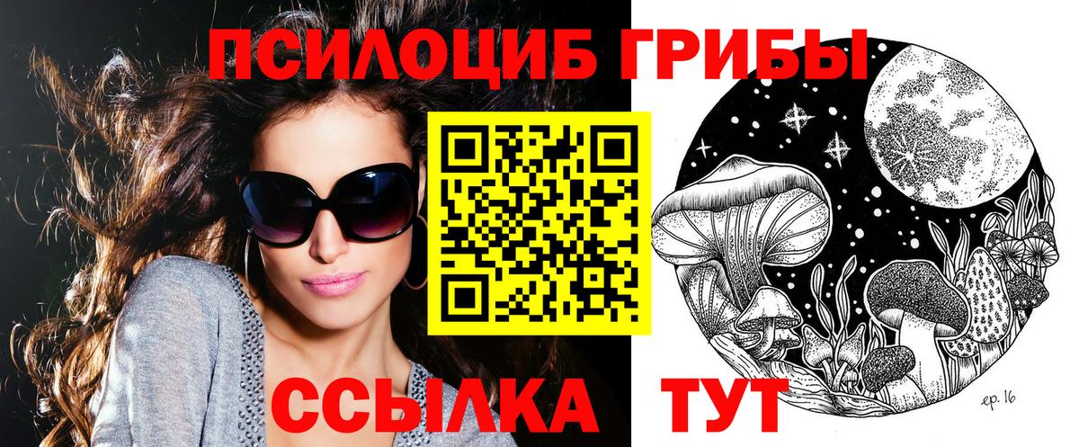 Алексин  Галлюциногенные грибы ЛСД  Галлюциногенные грибы MAGIC MUSHROOMS  Вход с VPN 