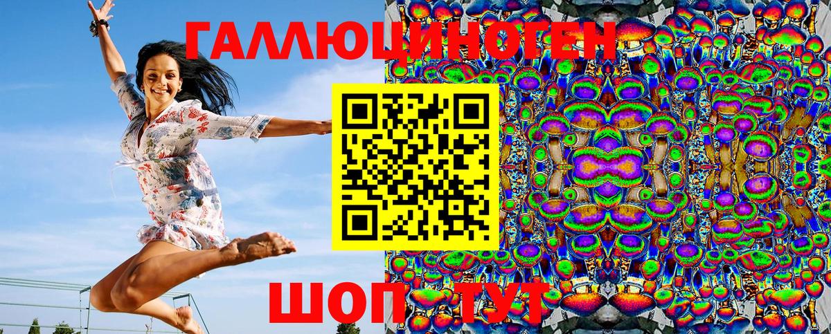 Галлюциногенные грибы Psilocybe Алексин